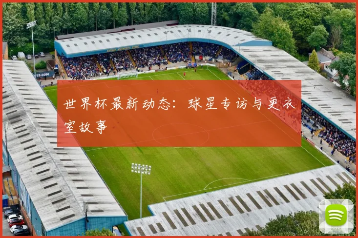 世界杯最新动态：球星专访与更衣室故事
