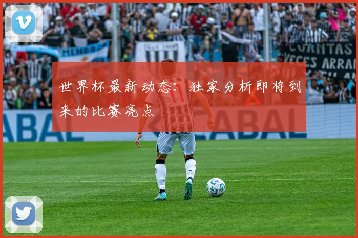 世界杯最新动态:独家分析即将到来的比赛亮点
